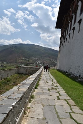 DSC_8391.JPG