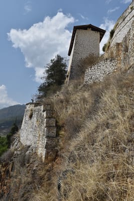 DSC_8395.JPG