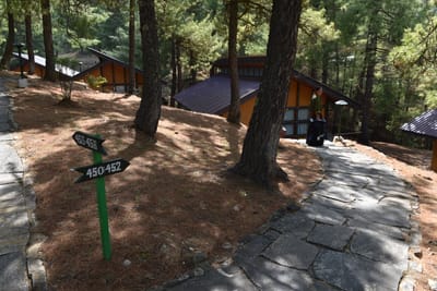 DSC_8405.JPG