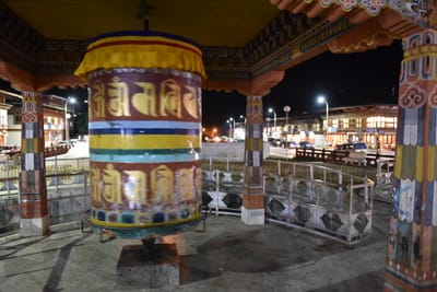 DSC_8465.JPG