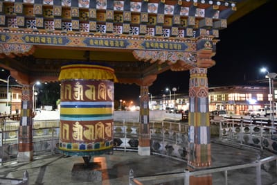 DSC_8466.JPG