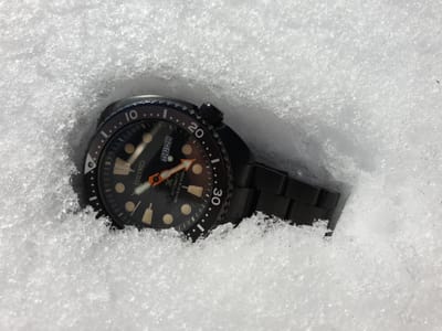 20190228_102328.jpg