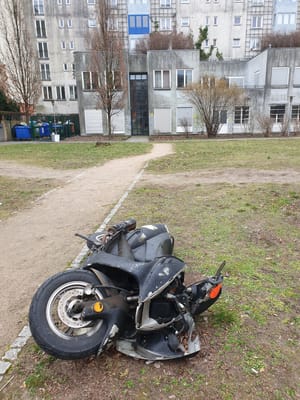 20190303_105644.jpg