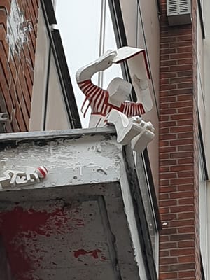20190303_110809.jpg