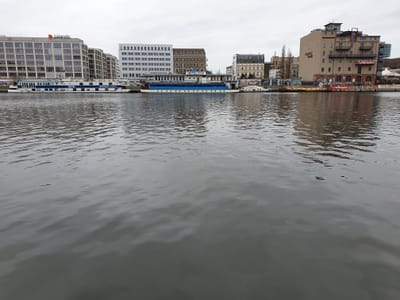 20190303_122951.jpg