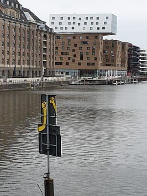 20190303_124108.jpg