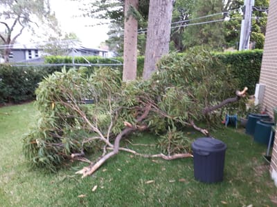 20190314_173837.jpg