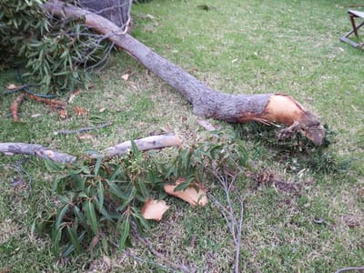 20190314_173927.jpg
