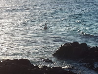 20190118_190445.jpg