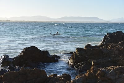 DSC_7080.JPG
