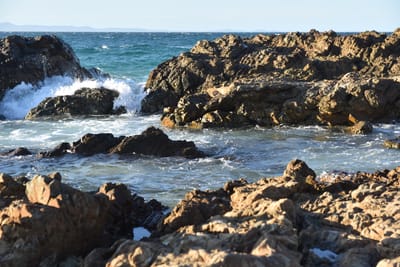 DSC_7082.JPG