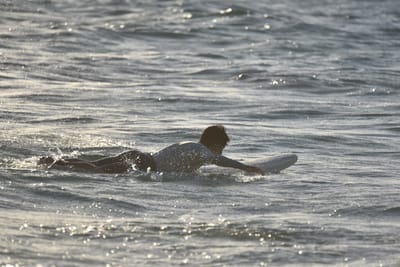 DSC_7103.JPG