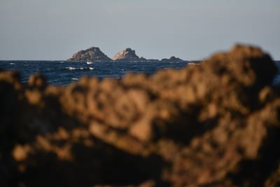 DSC_7109.JPG