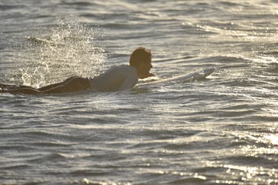 DSC_7134.JPG