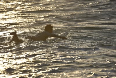 DSC_7152.JPG