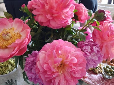 20191208_130655.jpg