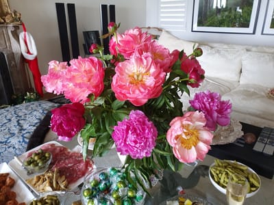 20191208_131701.jpg
