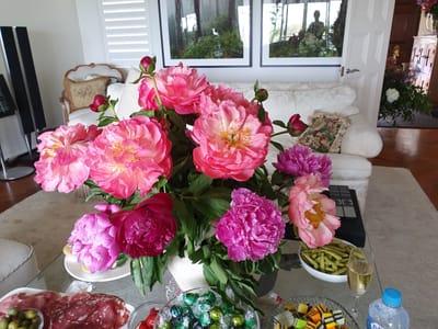 20191208_131704.jpg