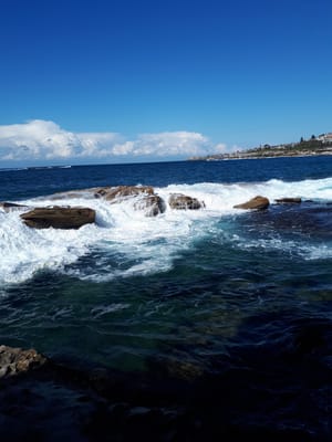 20190727_111350.jpg