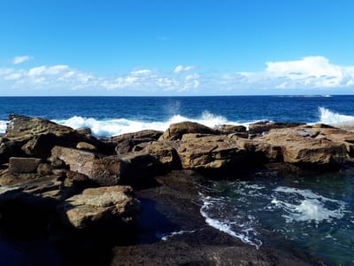 20190727_111614.jpg