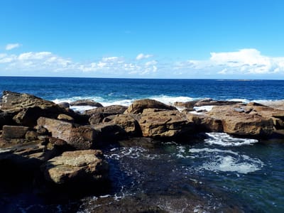 20190727_111623.jpg