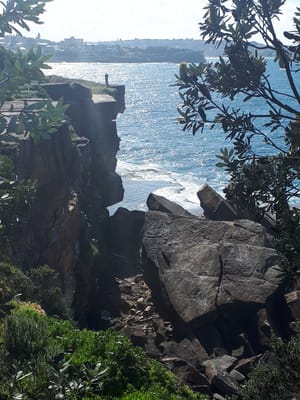 20190727_120638.jpg