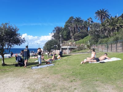 20190727_122427.jpg