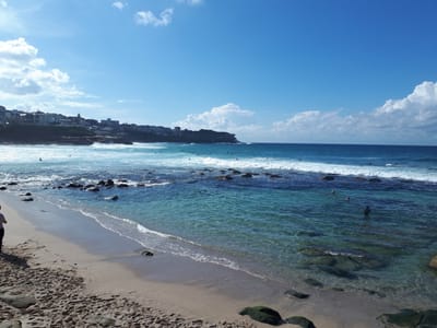 20190727_122449.jpg