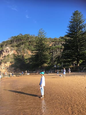 IMG-20190420-WA0007.jpg