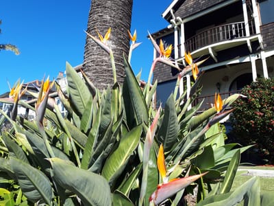20190725_104034.jpg