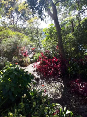 20190725_104326.jpg