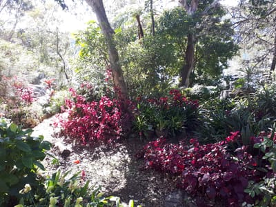 20190725_104331.jpg
