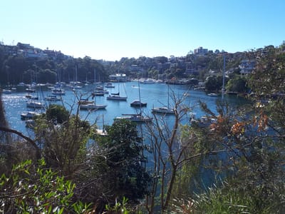 20190725_105512.jpg