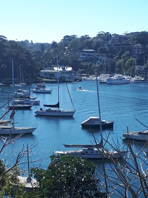 20190725_105517.jpg