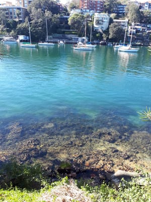 20190725_115035.jpg