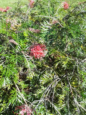20190725_115834.jpg