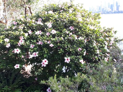 20190502_160220.jpg