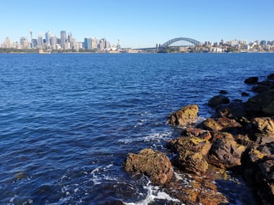 20190725_102427.jpg