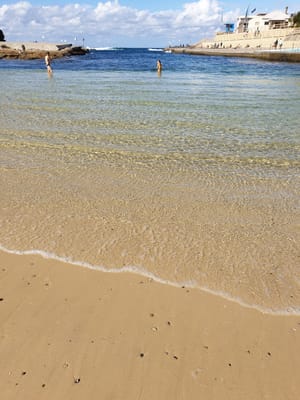 20190727_115228.jpg