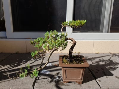 20190925_075927.jpg
