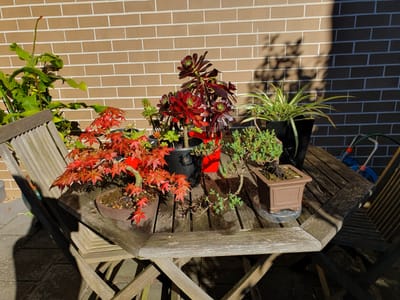 20190925_075958.jpg