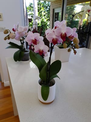 20191106_131154.jpg