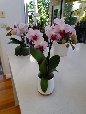 20191106_131157.jpg