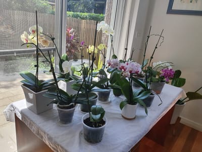 20191112_125029.jpg