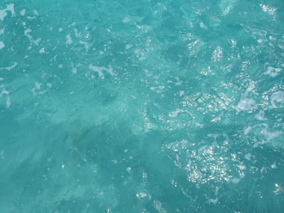 20191020_101325.jpg