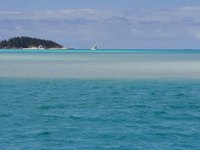 20191020_151733.jpg