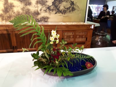20190810_144914.jpg