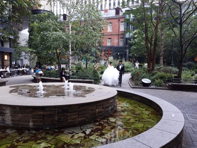 20190826_171156.jpg