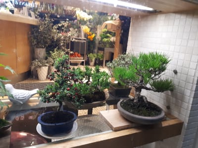 20190826_192733.jpg