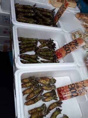 20190827_104322.jpg